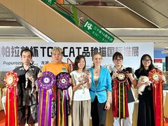 -帕帕拉兹宠物(亚洲旗舰店)