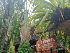 -呀诺达热带雨林