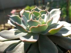 -咸宁太乙国际温泉度假村