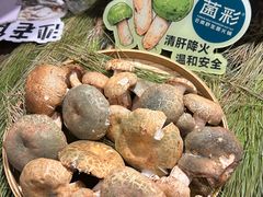 -菌彩云南野生菌火锅(新亚洲店)
