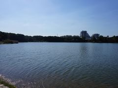 -美兰湖景区