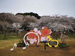 -苏州上方山国家森林公园