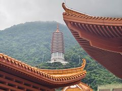 -深圳仙湖植物园