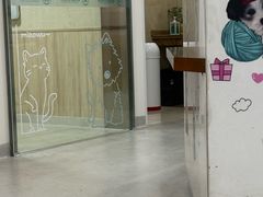 -谐和益家动物医院·免疫绝育·血液透析·宠保定点医院(高新伊藤分院)