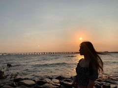 -宝安西湾红树林湿地公园