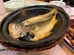 泉水黄花鱼-锦園(伊势丹美食城店)