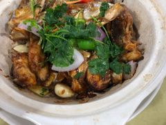 -大岗烧鸡·大塘好海鲜饭店