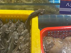 -黄龙海鲜大排档(杭州总店)