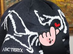 -ARC'TERYX始祖鸟(北京王府中环店)