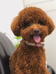 -太郎花子婚纱摄影艺术中心