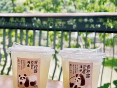 -去茶山(成都万象城店)