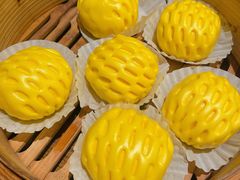 -寨子里的·钵钵菜·湘西山里菜(魅力湘西店)