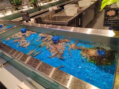 水产区-SEA西雅图海鲜自助餐厅(海乐世界店)