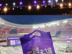 -山西体育中心红灯笼体育场