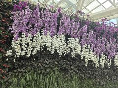 -石家庄市植物园