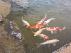 -济南方特东方神画