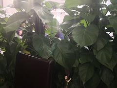 -北京烤鸭爱上川菜(中山路店)