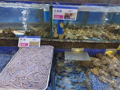-欢乐海岸美食联盟