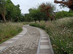-贵阳市花溪国家城市湿地公园