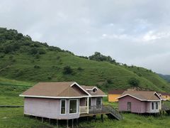 -关山草原