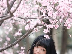 -堤角公园