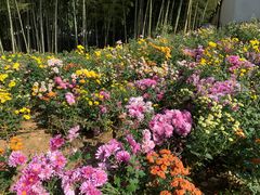 -中华贤母园-陶渊明纪念馆