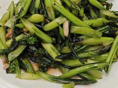 -陈记粤湛鸡饭店