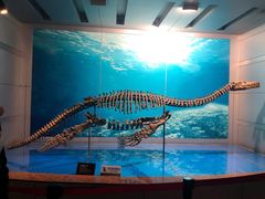-自贡恐龙博物馆