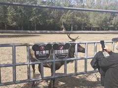 -哈尔滨北方森林动物园