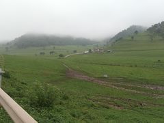 -关山草原