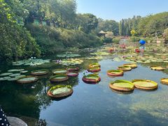 -广州莲花山旅游区