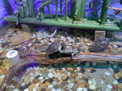 -酷嗒动物文化乐园(cutezoo西溪乐天城店)