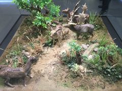 -北京麋鹿生态实验中心