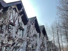-太阳岛度假酒店