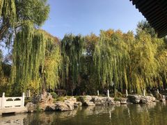-西宁市人民公园(城西区)