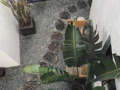 -云里小坐·小院里·团建·宴请·下午茶(三圣乡店)