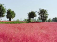 -汉长安城未央宫国家考古遗址公园