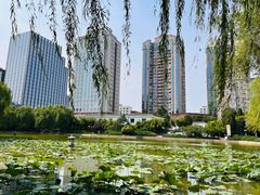 -团结湖公园