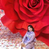 SHUSHUTONG蕾虎快闪💜超好拍
