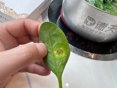 -德天雪花肥牛海鲜火锅(南苑东路店)