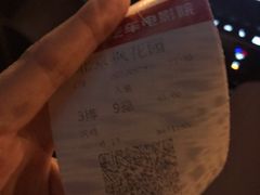 -枫花园汽车电影院(朝阳公园店)