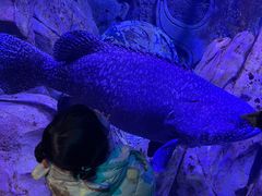 -哈尔滨波塞冬海底世界