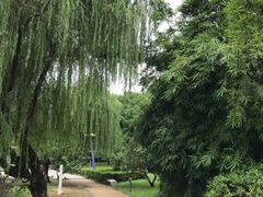 -中央公园(苏州工业园区)