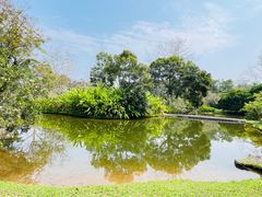 -中国科学院西双版纳热带植物园