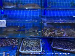 -前王院•巧克力海鲜市集餐厅(万平口店)