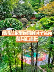 -馨月汇·一悦馨香月子中心(前滩店)