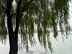 -南北湖风景区