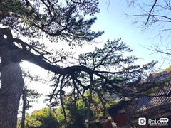 -潭柘寺景区
