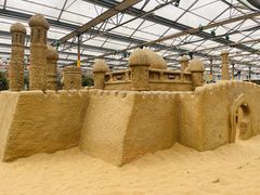 -南宫五洲植物乐园