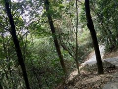 -火炉山森林公园